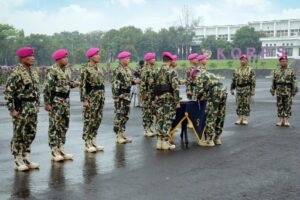 IMG-20220714-WA0266_copy_512x341